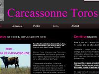 club Carcassonne Toros